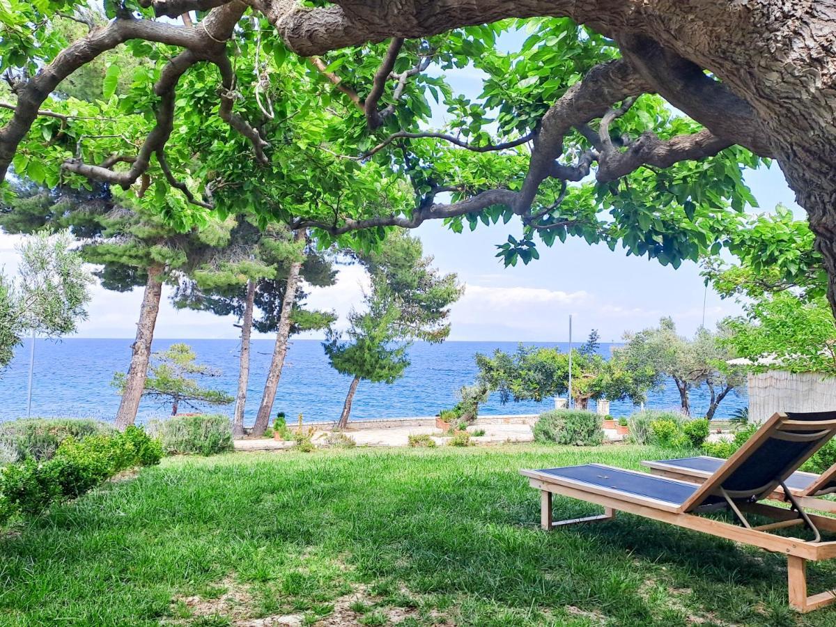 Nama Beach House Arkadiko Chorio المظهر الخارجي الصورة