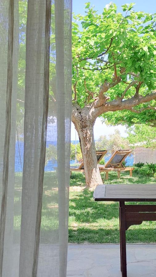 Nama Beach House Arkadiko Chorio المظهر الخارجي الصورة