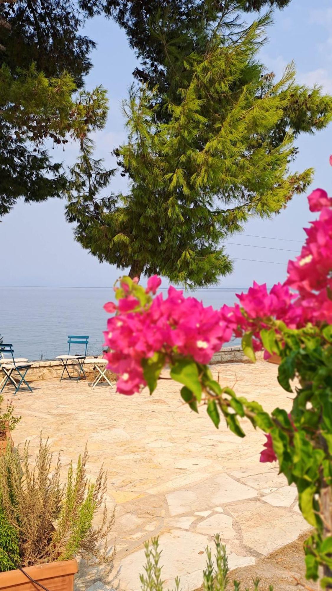 Nama Beach House Arkadiko Chorio المظهر الخارجي الصورة