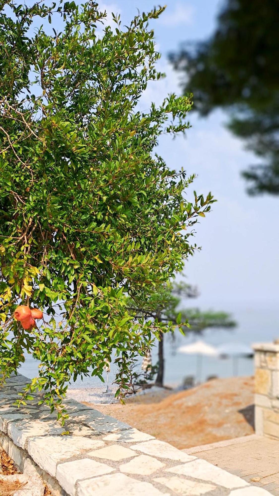 Nama Beach House Arkadiko Chorio المظهر الخارجي الصورة